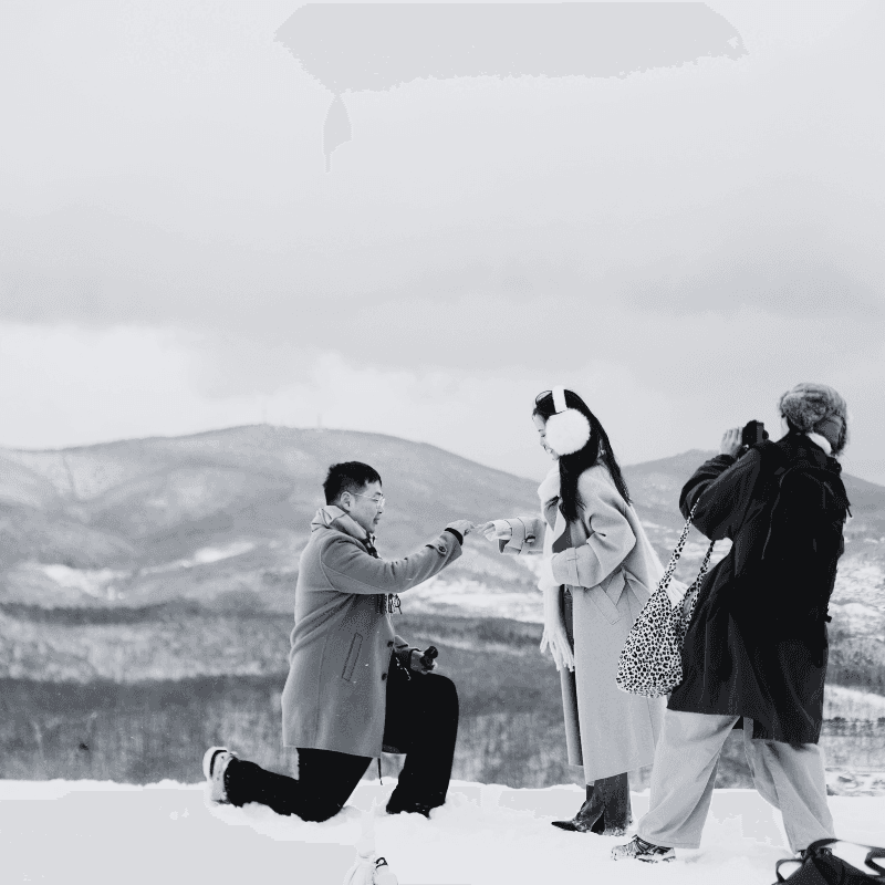 Proposals & Engagement 1